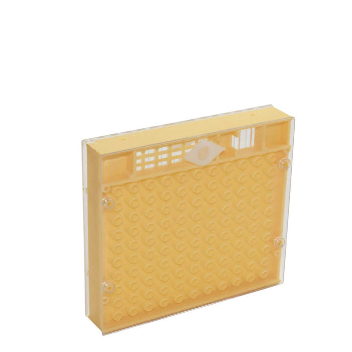 Nicot Queen Bee Rearing System Kit - Basic No Graft Jenter Starter Beekeeping