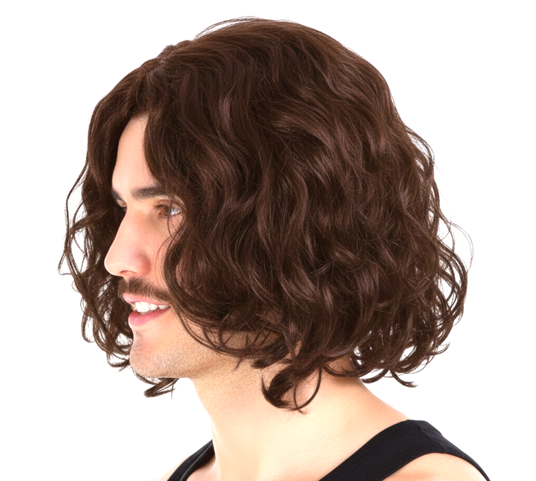 MENS WAVY WIG Curly Long Hair Disco Punk Rock Party Costume 60s 70s - Brown
