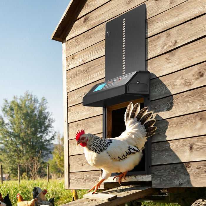 Automatic Chicken Coop Door, Battery Powered Chicken Coop Door with Timer & Manual Setting, Anti-Pinch Security, Durable Aluminum Alloy, Auto Chick Run Gate Opener with Waterproof Sealing, Black