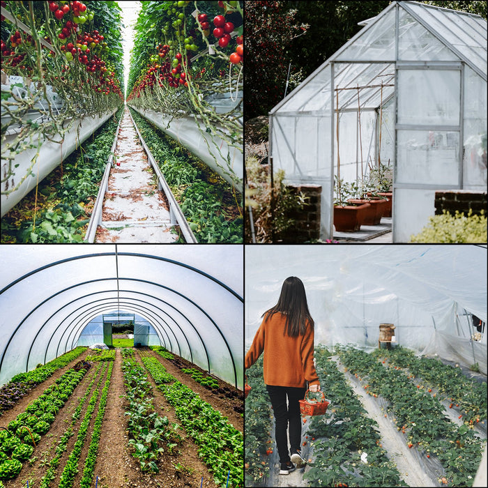 VEVOR Greenhouse Film, Greenhouse Polyethylene Film 20x28 ft Greenhouse Plastic