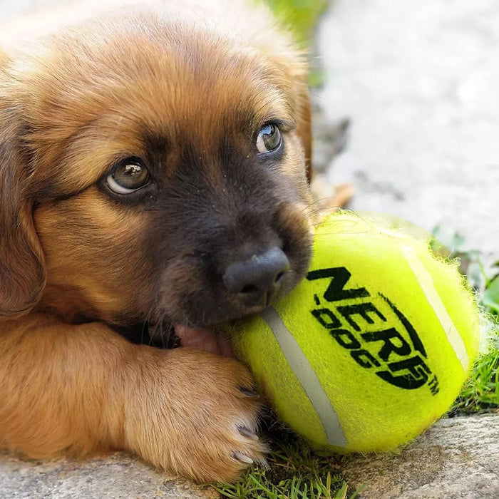 Nerf Dog Fetch Game Mega Set Tennis Ball Blaster With 12 Tennis Balls Orange AU