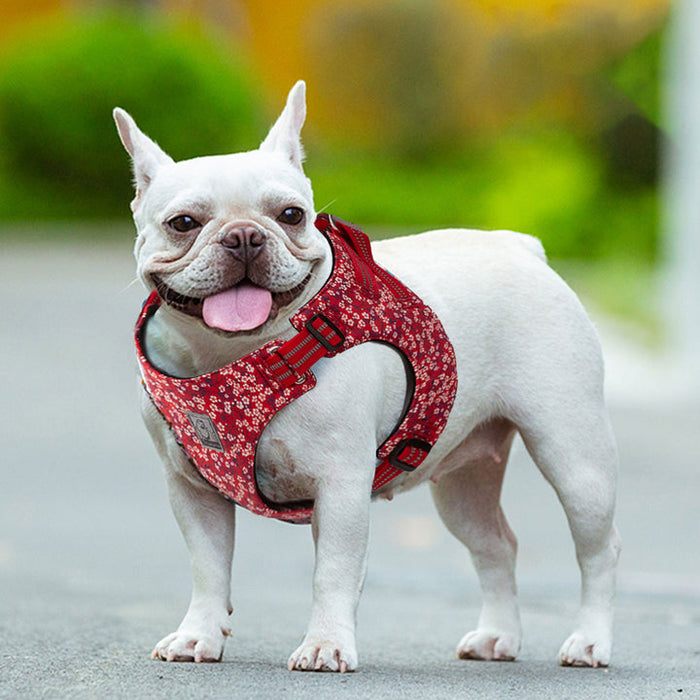 Truelove No-Pull Dog Sleek Sports  Puppy Floral Doggy Harness Red XL