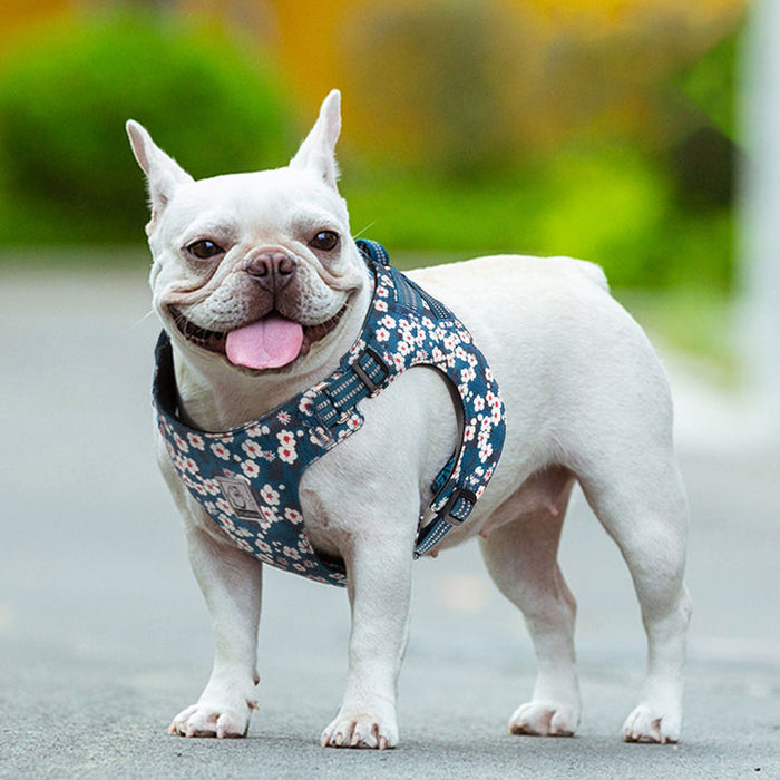 Truelove No-Pull Dog Sleek Sports  Puppy Floral Doggy Harness Saxony Blue XS