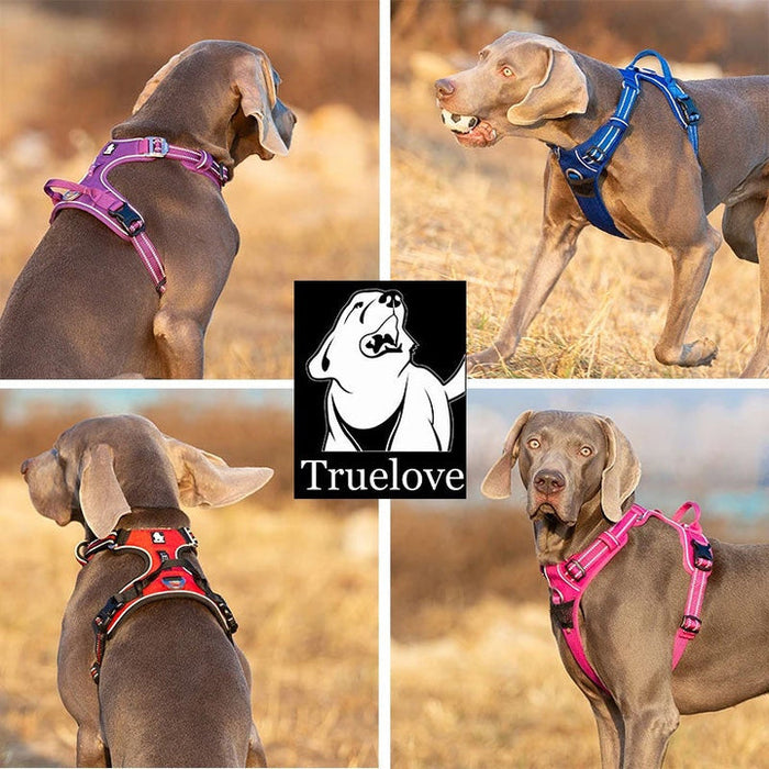 Truelove Adventurer Dog Doggie Adjustable No Pull Harness Blue L