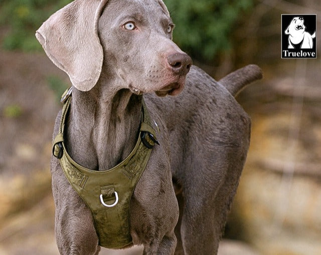 Truelove No-Pull Dog Sleek Sports  Puppy Lightweight Harness Army Green S