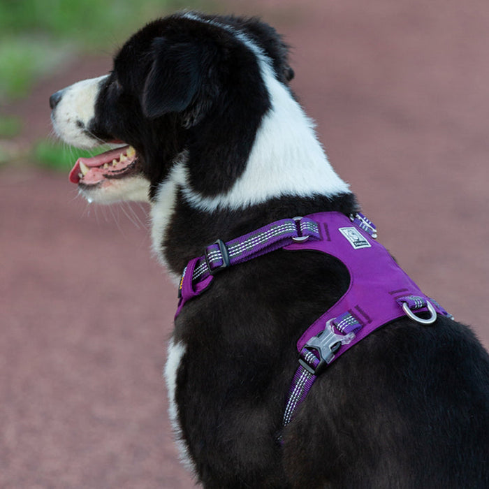 Truelove No-Pull Dog Sleek Sports  Puppy Lightweight 3M reflective Harness Purple XS