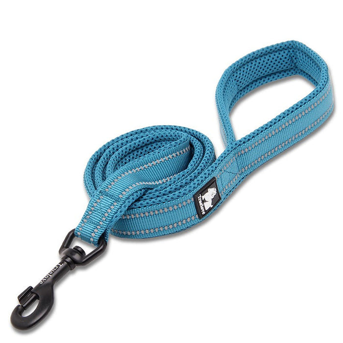 Truelove Pet  Nylon Dog Lead With Handle Reflective Pet Leash 2 meters Blue L