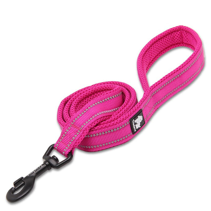 Truelove Pet  Nylon Dog Lead With Handle Reflective Pet Leash 2 meters Pink S
