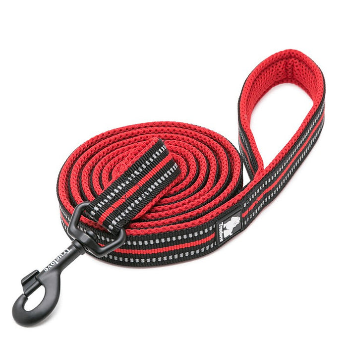 Truelove Pet  Nylon Dog Lead With Handle Reflective Pet Leash 2 meters Red L